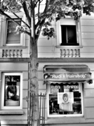 20090430gaarden4.jpg